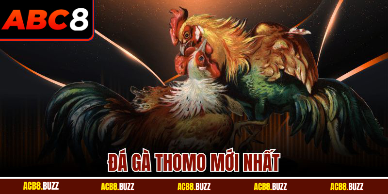 Đá Gà Thomo Mới Nhất - Trận Đấu Đỉnh Cao Cùng ABC8 2 Đá Gà Thomo Mới Nhất - Trận Đấu Đỉnh Cao Cùng ABC8